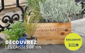 caisse en bois pour plante