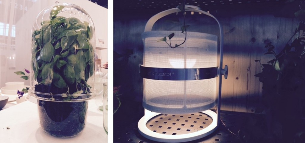monbalconparisien.live a aimé ces accessoires: une serre pour faire pousser du basilic dans sa cuisine, une lampe outdoor très design et autonome car solaire...