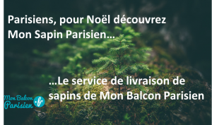 livraison de sapin à paris