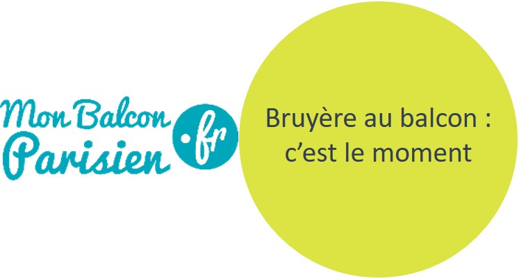 Bruyère au balcon Bruyère au balcon
