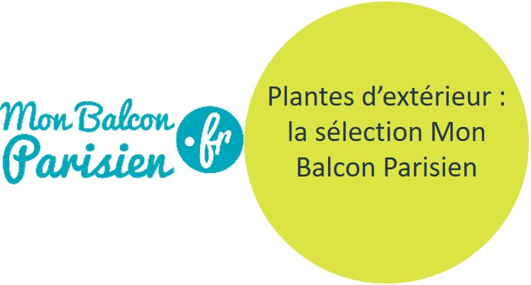 plantes d'extérieur plantes d'extérieur