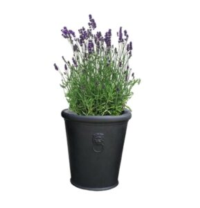 pot balcon lavande