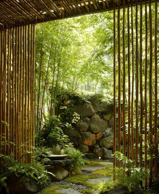 balcon végétalisé avec fougères et feuillages aménagement naturel