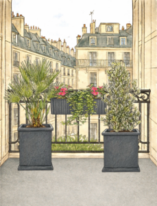 Balcon soleil 2m² aménagé avec olivier, palmier Chamaerops et balconnière fleurie
